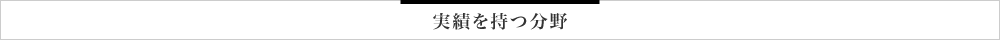 実績を持つ分野