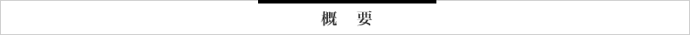 概要